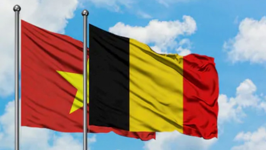 Belgian Senate President’s Vietnam visit to bolster all-around cooperation